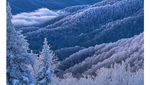 滤筒除尘器/脉冲布袋除尘器厂家博源科技寒冷冬日里的“绿色守护”：让寒冷与环保温暖共生